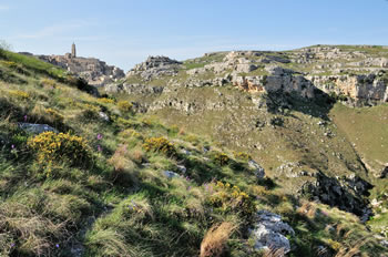 Matera